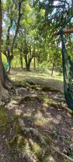 Casa em Chácara próximo ao Pico Paraná e Represa Capivari Toca do Tatu - 1