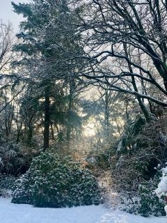 Gouden Hert: relaxen in comfort! #otterlo #hogeveluwe - 3