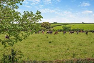 2 Bed in St. Minver oc-r29475 - 2