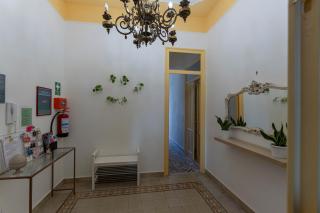 Casa Botanica Apartment - 4