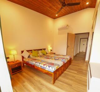 Renevi Experience - 3