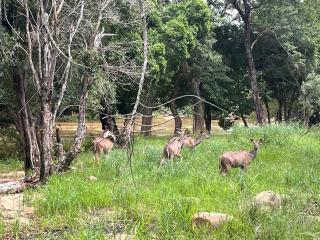 Blyde River Self-Catering Studios - 1