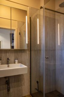 Littel Nest Satu Mare - 5