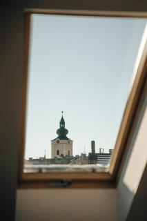 Apartmá Oberleithnerův palac - 3