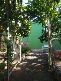 Finca wawa Gran Canaria - San Roque - 4