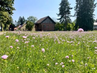 Tiny House Zur Alten Sparkasse - 2