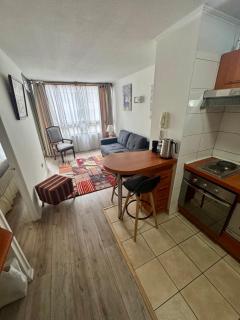 Departamento Céntrico Santiago, cama matrimonial - 4