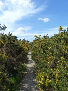 Ty Bihan de L'Aber - Crozon - 6