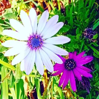 Habitación amueblada con todo - 0