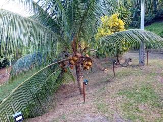 Évasion Créole Détente tropicale avec piscine, jacuzzi et plage à proximité! - 9