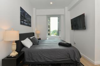 Contemporary Luxury 3BR 2BA Downtown NYC - 5