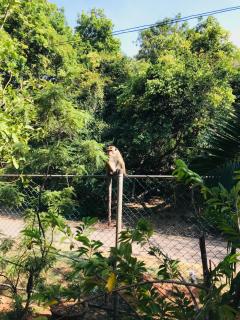 Jungle Park in Priyanna Guest - 8