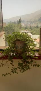 Large quiet apartment in condominium - 3