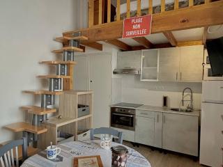 Appartement T2 climatisé avec mezzanine, loggia et accès direct à la plage - 1