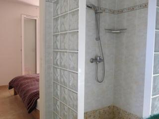 Villa avec Piscine Privée, Sauna et Boulodrome à 8 min des Plages - FR-1-529-7 - 1