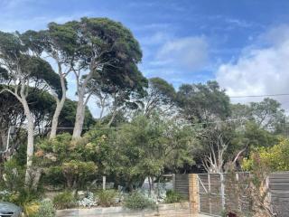 Moonah Haven - 4