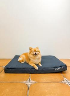 Qixingtan Xinghai B&B NO1044 & 2202 - 1