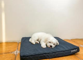 Qixingtan Xinghai B&B NO1044 & 2202 - 2