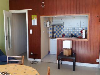 Appartement vue océan, animaux admis, parking privé - FR-1-194-428 - 7