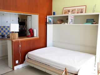 Appartement vue océan, animaux admis, parking privé - FR-1-194-428 - 6