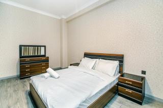 VIP and Deluxe property in Center Baku - 6