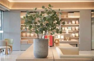 JI Hotel Beijing Yansha Sanyuan Bridge - 4