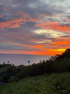 Bell Seaside Residence - 5