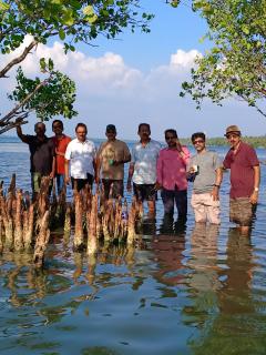 Lagoon gate family - 1