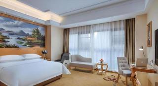 Vienna Hotel Nanjing Zhongshan Mausoleum - 7