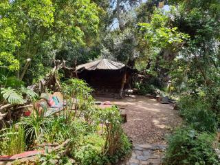 Wild Spirit Backpackers Lodge - 8