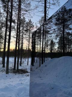 Ullr Glass Cabin with Forest View - 7