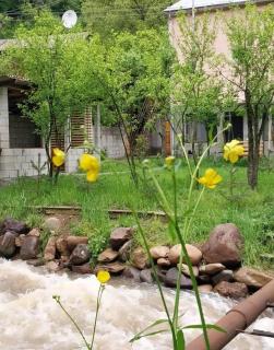 RiverSide Guest House - 3