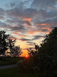 Camønogaarden B&B, darksky cabins and events - 2