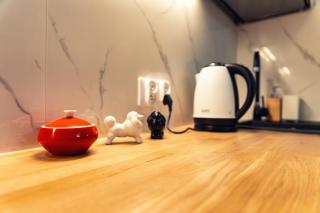 Cosy flat in the center - 3