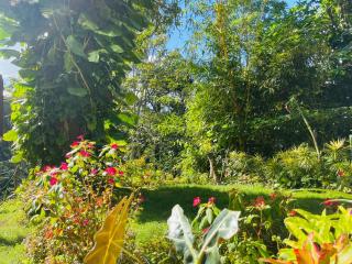 Ella White Tea Garden Hotel - 2