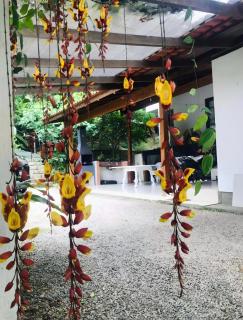Refúgio Verde Jurerê Internacional com Área Gourmet - 4