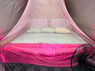 Delft mikki home stay - 7