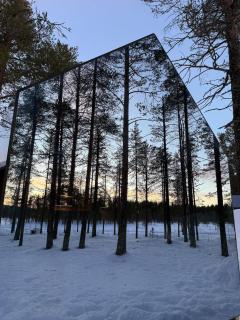 Máni Glass Cabin with Forest View - 8