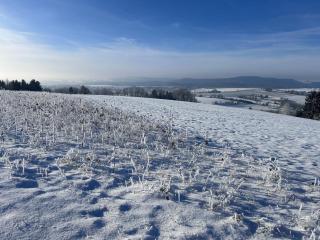 FeWo-zur-Eifelgracht - 6