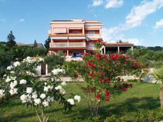 Apartments Banic - Rab - 0