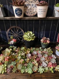 Ryokan Onomichi Tsubamedou Private Traditional House 1日一組限定 一棟内2階貸切り - 2