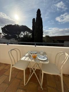 Mas de la Huppe - Franquevaux en Petite Camargue - 6