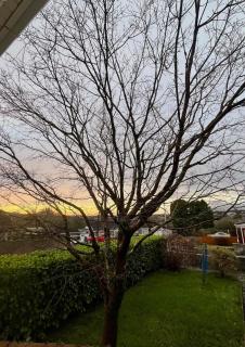 Private Annexe, Near Derriford and Dartmoor with Parking - 2