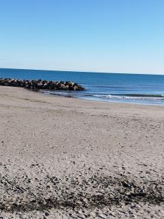 La Terrasse des Voiliers - 6