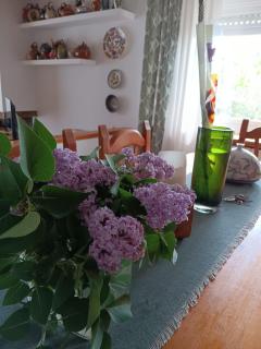 Torre de l'Olivera - 2