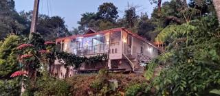 yoshi crest stays - 0