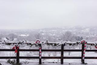 Panoramic View Bran - Apartament - 0