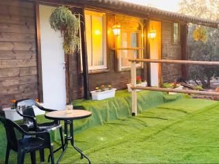 חמדת השקד - 2