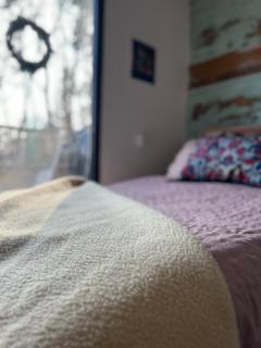 Chaloupka v lese u Kutné Hory -  - 2