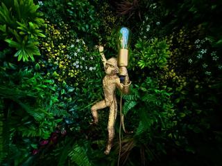 Appartement Jungle Chic pour Couple avec Parking Centre de Nîmes - 1